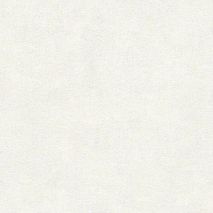 Tapeta ścienna A.S. Creation Meistervlies Premium 30156-1, delikatna struktura tynku, maskuje nierówności